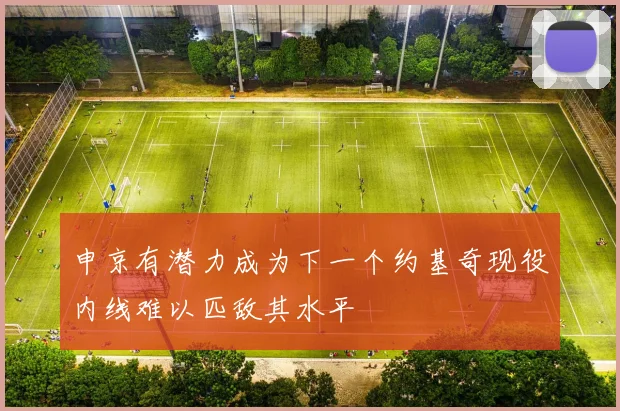 申京有潜力成为下一个约基奇现役内线难以匹敌其水平