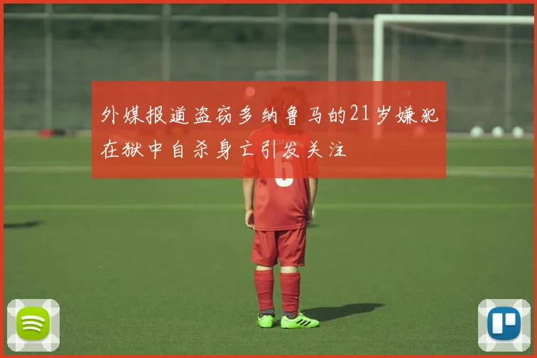 外媒报道盗窃多纳鲁马的21岁嫌犯在狱中自杀身亡引发关注