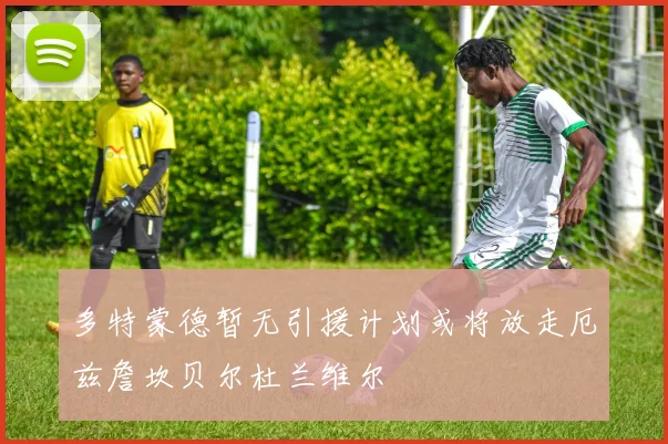 多特蒙德暂无引援计划或将放走厄兹詹坎贝尔杜兰维尔