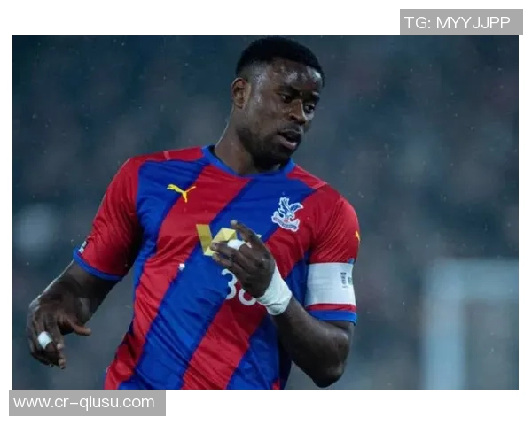 水晶宫冬窗计划引进博伊转会费预计达1300万英镑 水晶宫冬窗计划引进博伊转会费预计达1300万英镑